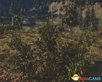 《往日不再》圖文白金攻略 全支線任務全收集攻略