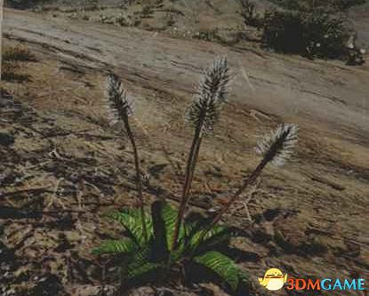 《往日不再》圖文白金攻略 全支線任務全收集攻略