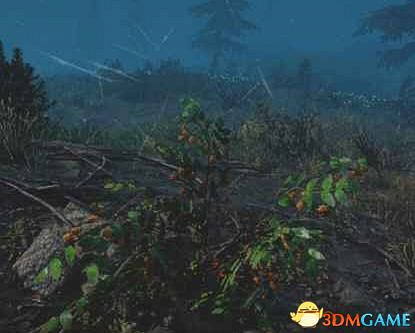 《往日不再》圖文白金攻略 全支線任務全收集攻略