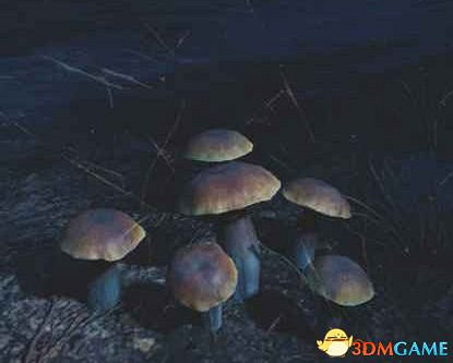 《往日不再》圖文白金攻略 全支線任務全收集攻略