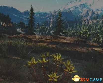 《往日不再》圖文白金攻略 全支線任務全收集攻略