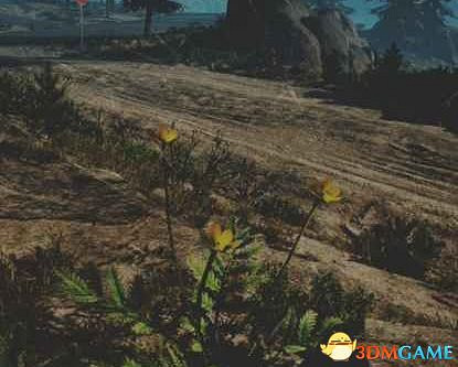 《往日不再》圖文白金攻略 全支線任務全收集攻略