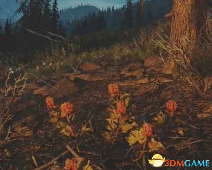 《往日不再》圖文白金攻略 全支線任務全收集攻略