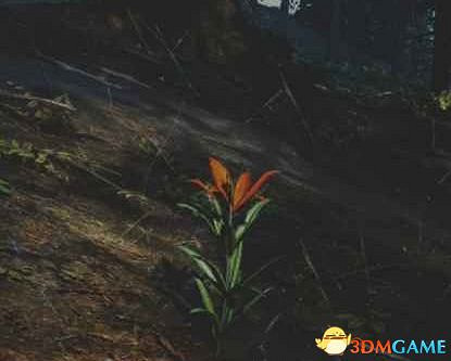 《往日不再》圖文白金攻略 全支線任務全收集攻略