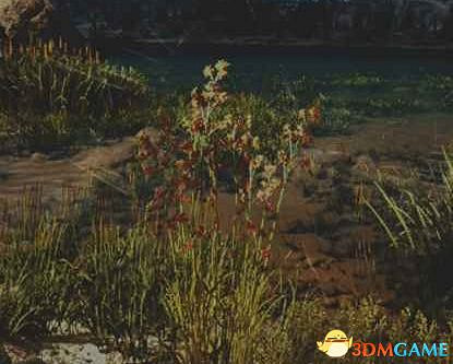 《往日不再》圖文白金攻略 全支線任務全收集攻略