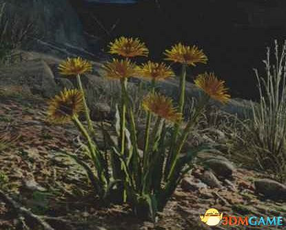 《往日不再》圖文白金攻略 全支線任務全收集攻略