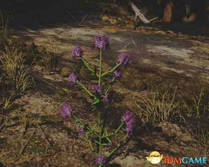 《往日不再》圖文白金攻略 全支線任務全收集攻略