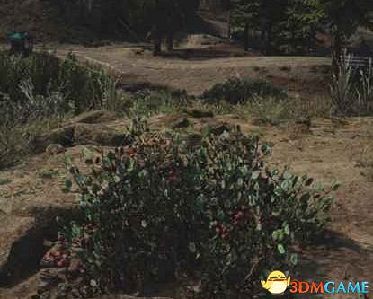 《往日不再》圖文白金攻略 全支線任務全收集攻略