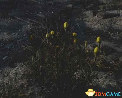 《往日不再》圖文白金攻略 全支線任務全收集攻略