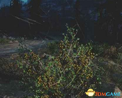 《往日不再》圖文白金攻略 全支線任務全收集攻略