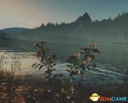 《往日不再》圖文白金攻略 全支線任務全收集攻略