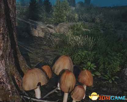 《往日不再》圖文白金攻略 全支線任務全收集攻略