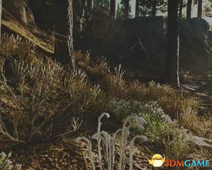 《往日不再》圖文白金攻略 全支線任務全收集攻略