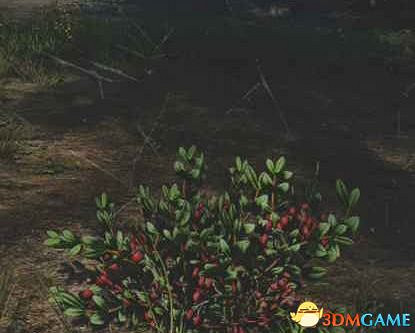 《往日不再》圖文白金攻略 全支線任務全收集攻略