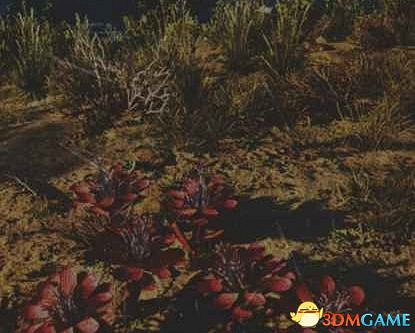 《往日不再》圖文白金攻略 全支線任務全收集攻略