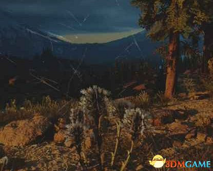 《往日不再》圖文白金攻略 全支線任務全收集攻略