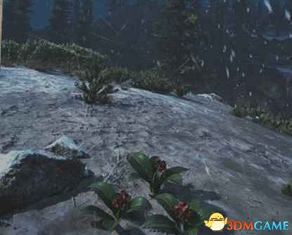 《往日不再》圖文白金攻略 全支線任務全收集攻略