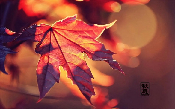 《英雄聯盟》2025好兆頭好運的暱稱一覽 《英雄聯盟》2025好兆頭好運的暱稱一覽