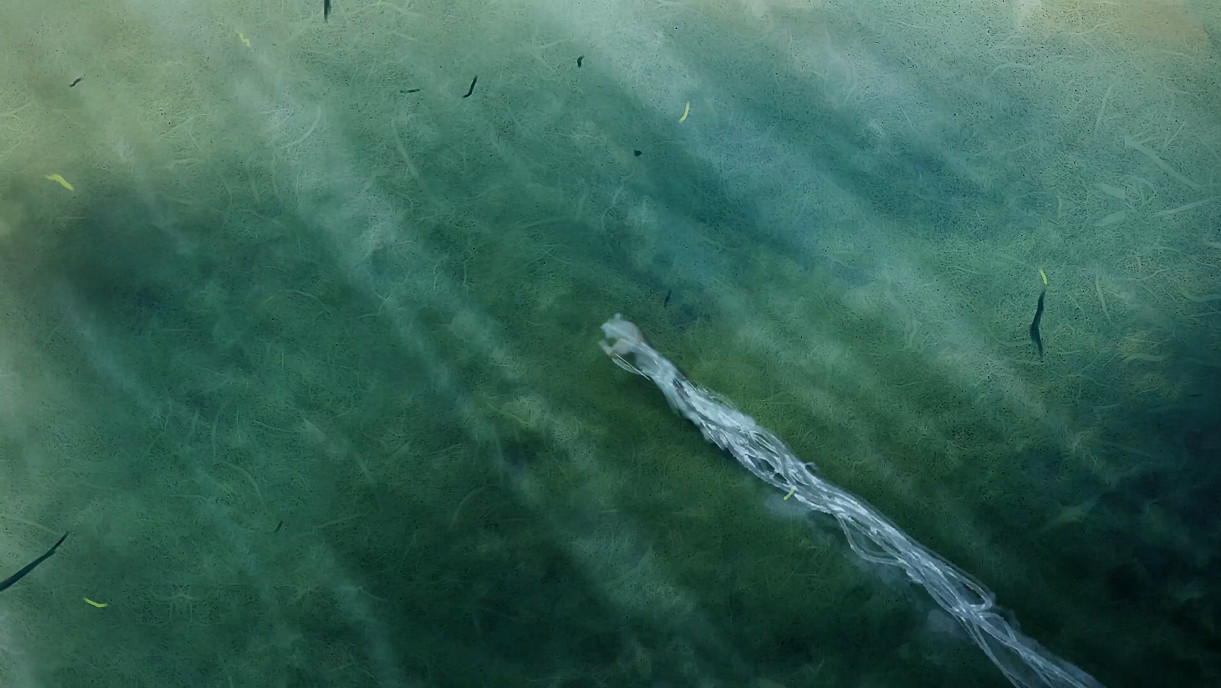 TGA24:《大神》系列完全新作公開!神谷英樹監督 TGA24:《大神》系列完全新作公開!神谷英樹監督