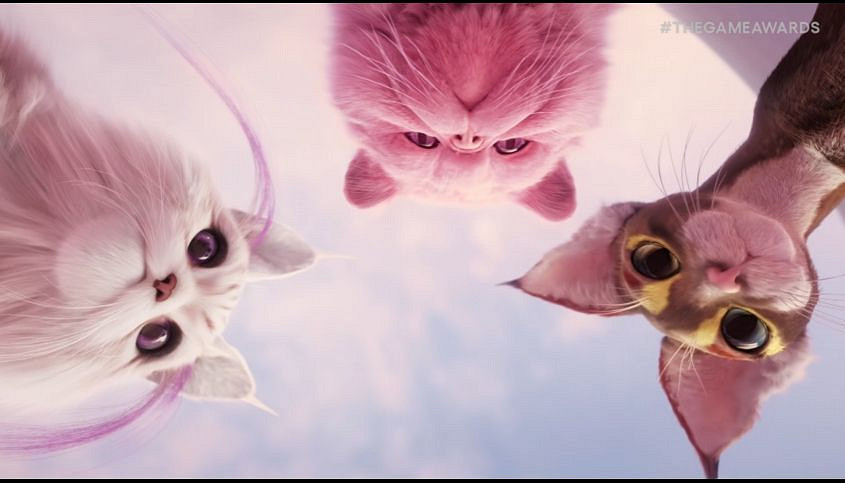 TGA24：可愛貓咪遊戲《Catly》首曝預告 被萌化了！