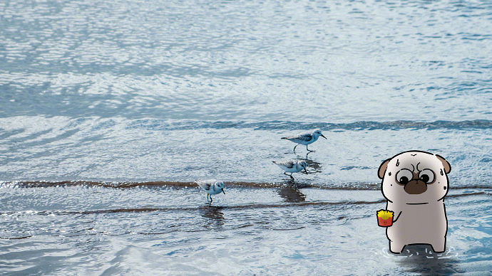 《英雄聯盟》適合中年人的網名大全