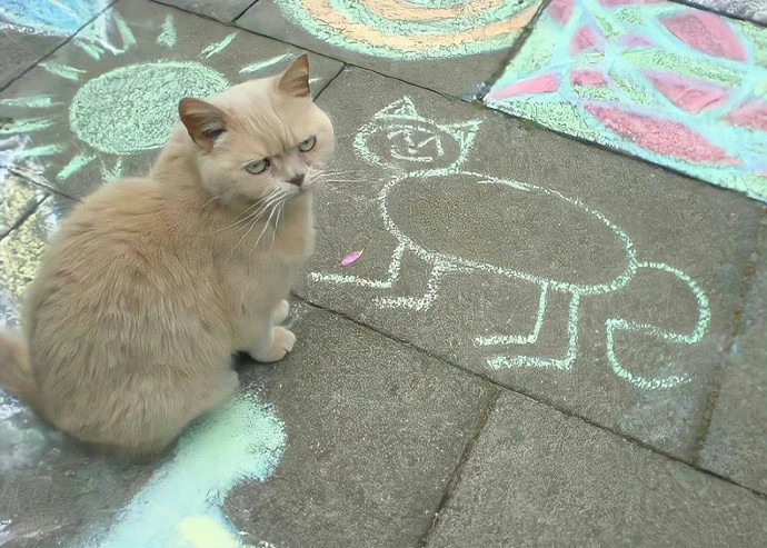 《英雄聯盟》女性有涵養的名字推薦