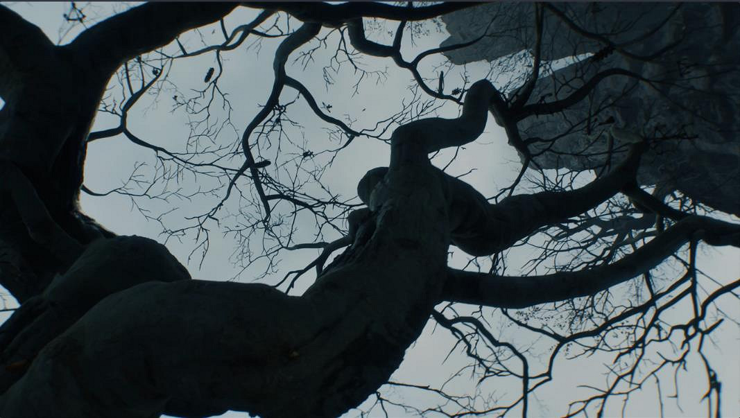 虛幻引擎5畫質逼真炸裂!《巫師4》海量遊戲截圖欣賞 虛幻引擎5畫質逼真炸裂!《巫師4》海量遊戲截圖欣賞