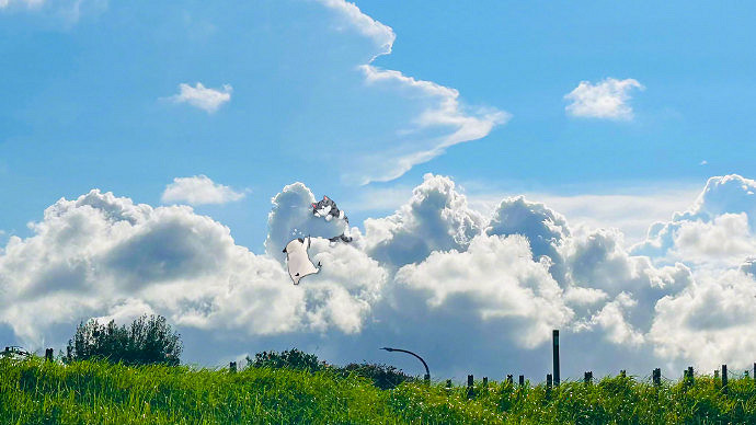 《英雄聯盟》適合中年人的網名大全