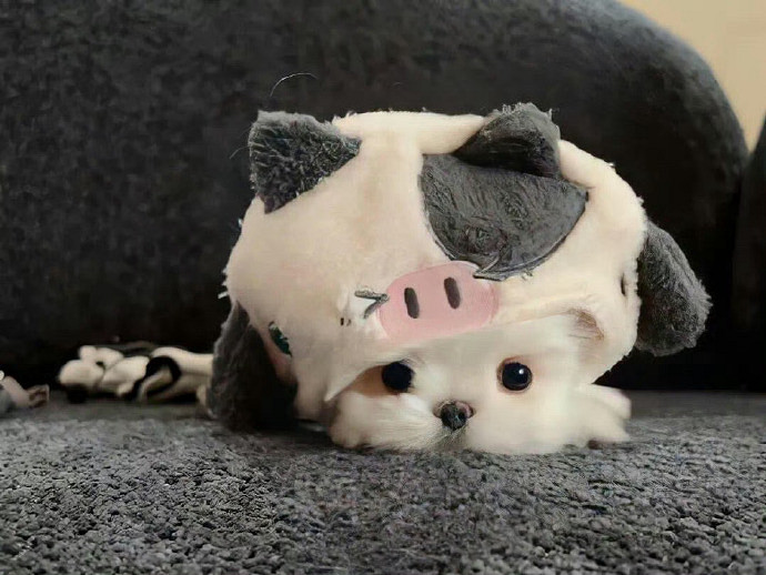 《英雄聯盟》女生網名唯美小清新推薦