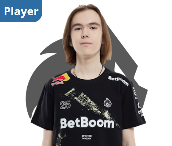 《csgo》綠龍Spirit隊員頭像一覽