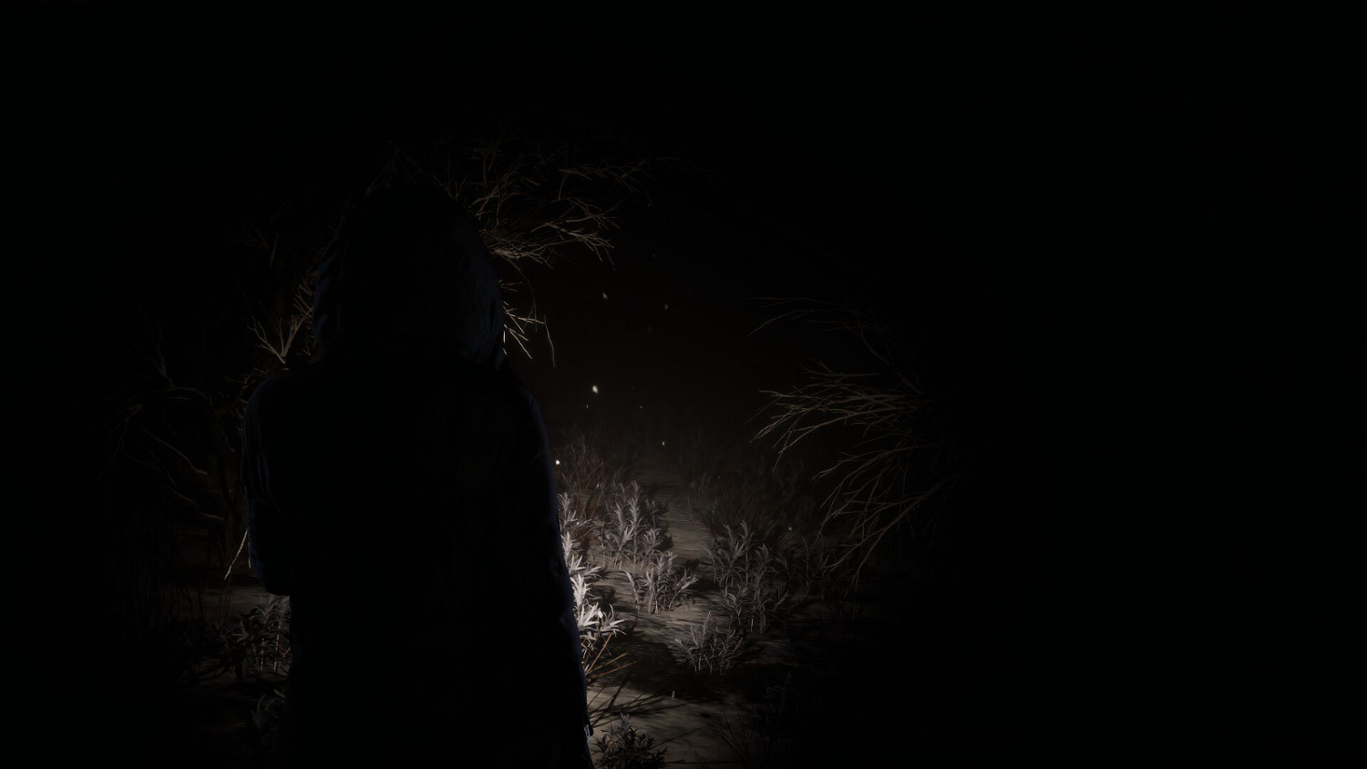 虛幻5恐怖遊戲《戰慄》預告 鼻環女主尋妹之旅 虛幻5恐怖遊戲《戰慄》預告 鼻環女主尋妹之旅