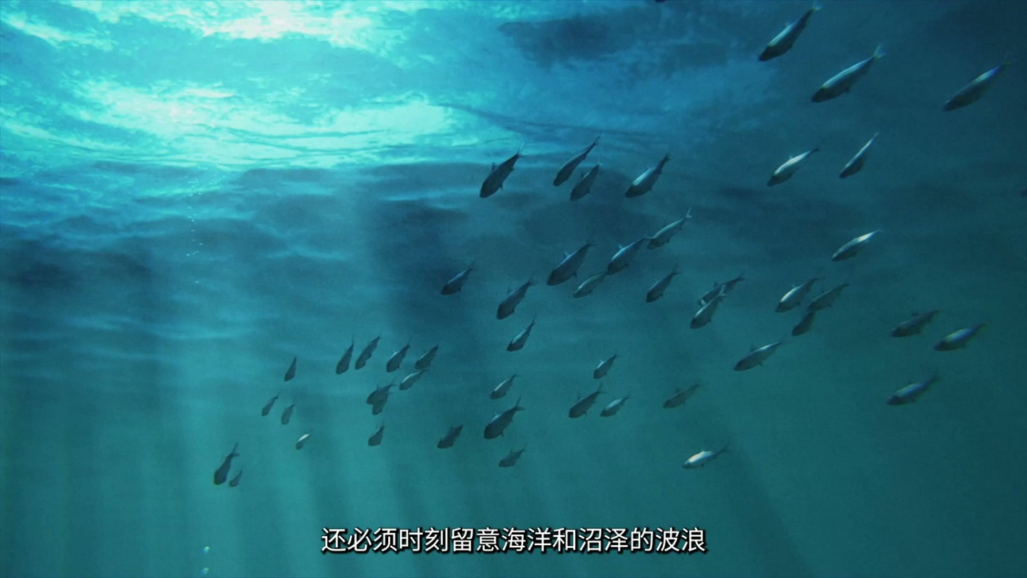 《魔物獵人》10分鐘世界觀宣傳片:遊戲宇宙宏偉壯闊! 《魔物獵人》10分鐘世界觀宣傳片:遊戲宇宙宏偉壯闊!