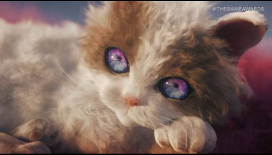 《Catly》開發商否認遊戲使用了AI、區塊鏈和NFT技術 《Catly》開發商否認遊戲使用了AI、區塊鏈和NFT技術