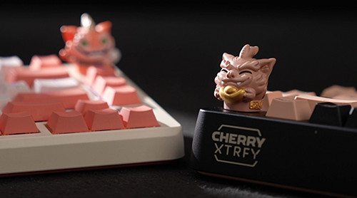 王者無雙！CHERRY贊助2024FSPL職業聯賽總決賽