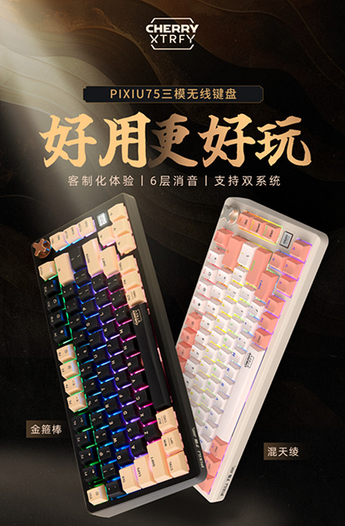 王者無雙！CHERRY贊助2024FSPL職業聯賽總決賽