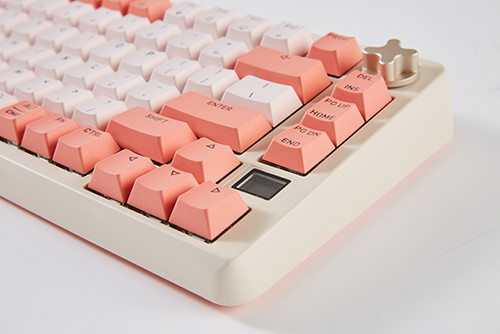 王者無雙！CHERRY贊助2024FSPL職業聯賽總決賽