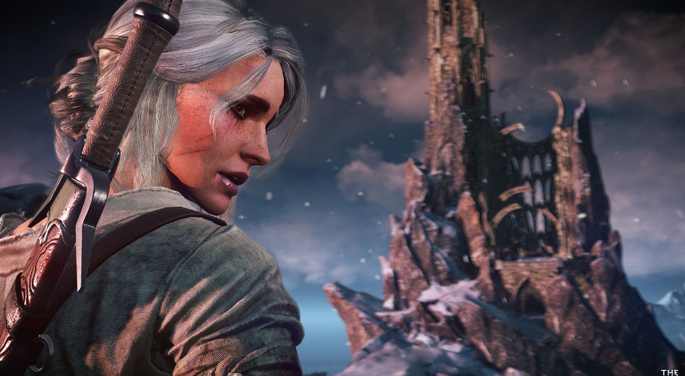 《巫師4》故事接續3代數年之後 證實傑洛特在白鴉葡萄園