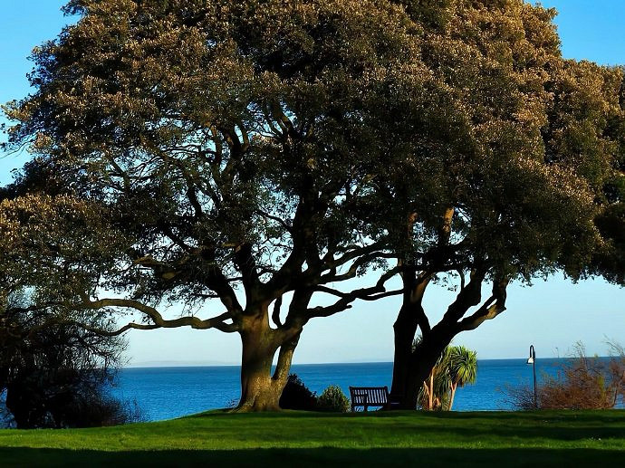 《英雄聯盟》改個運氣好的2025年五十歲網名