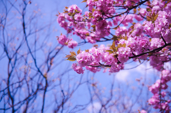 《英雄聯盟》乾淨的三字網名推薦 《英雄聯盟》乾淨的三字網名推薦