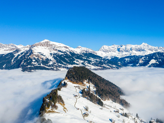 《英雄聯盟》適合50歲的二字網名一覽 《英雄聯盟》適合50歲的二字網名一覽