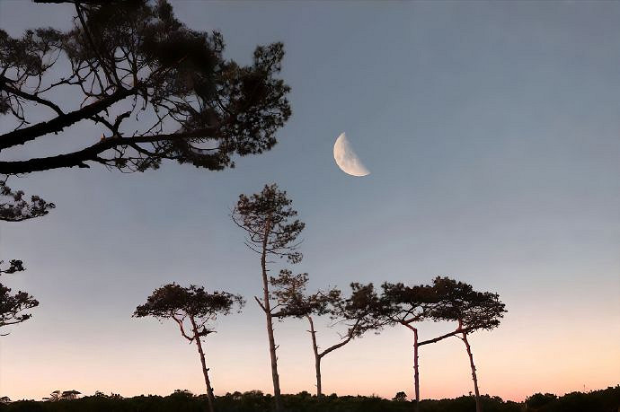 《英雄聯盟》男士網名成熟穩重招財一覽