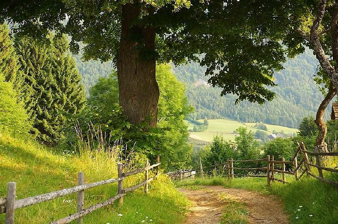 《英雄聯盟》改個運氣好的2025年五十歲網名