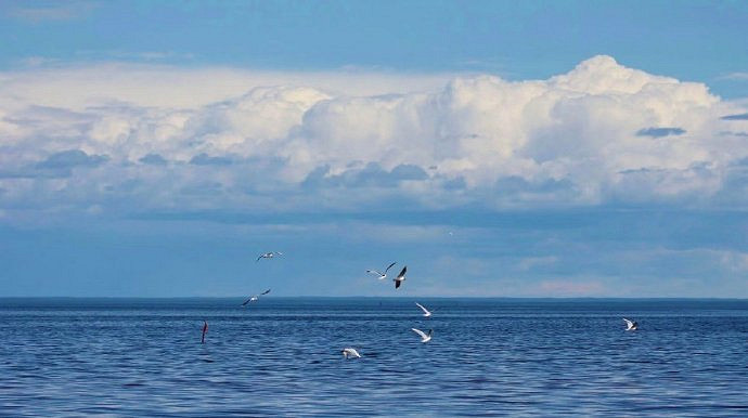 《英雄聯盟》改個運氣好的2025年五十歲網名