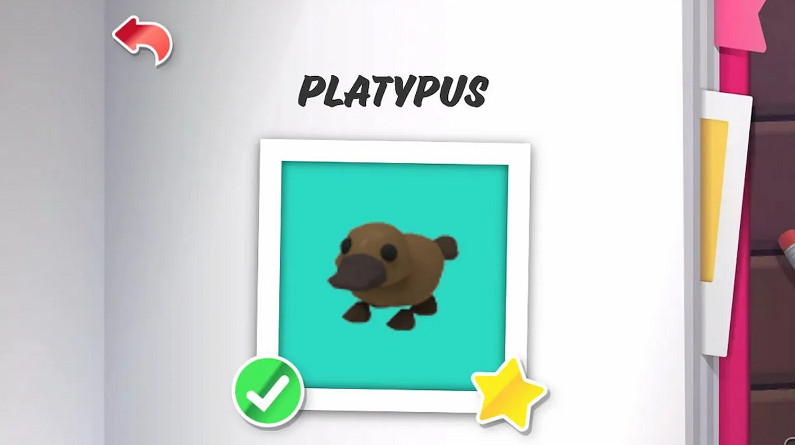 機器磚塊養成遊戲《Adopt Me》中10名最稀有寵物排名 機器磚塊養成遊戲《Adopt Me》中10名最稀有寵物排名