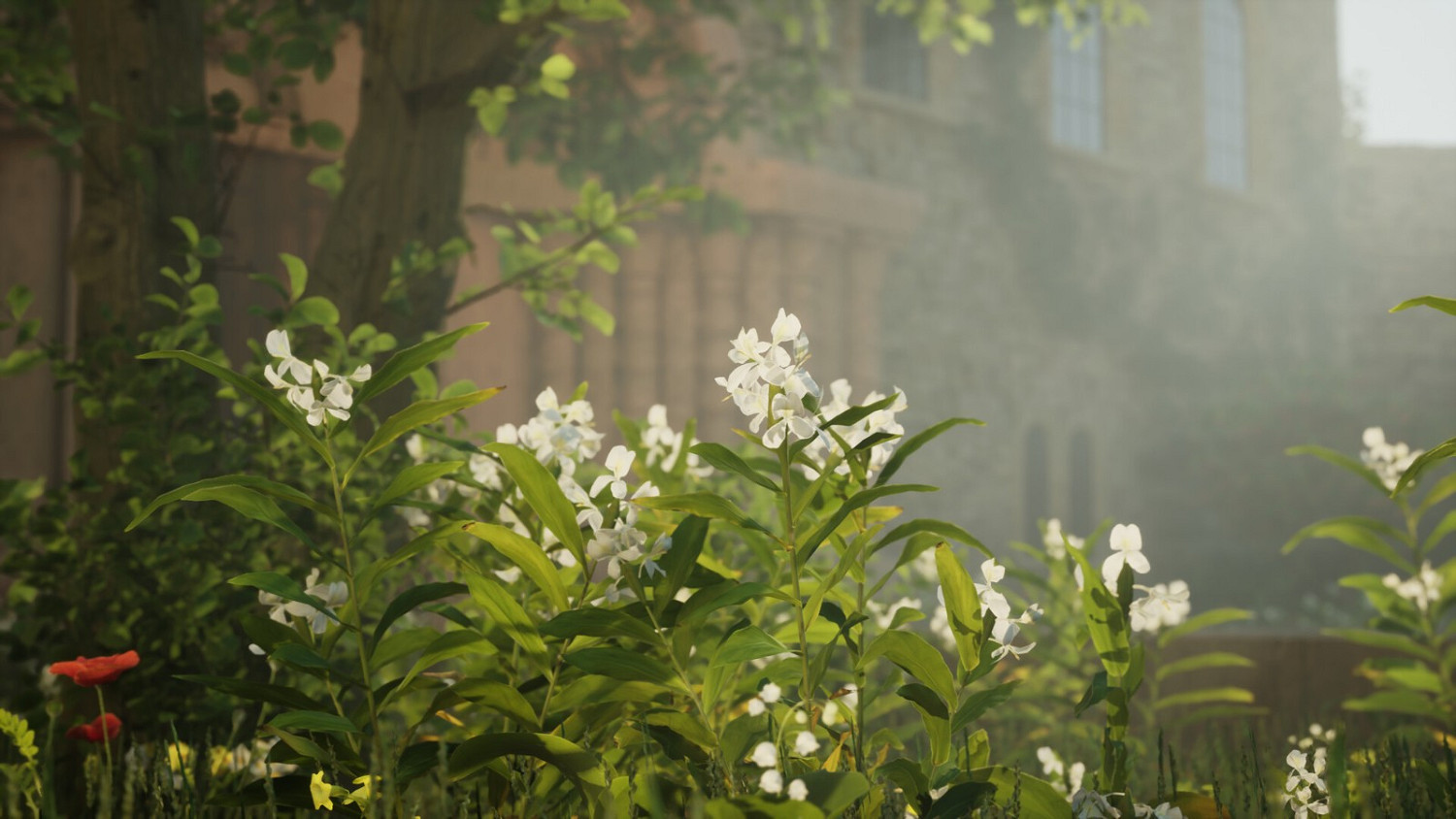 冒險遊戲《精靈之鎖》宣傳片公開 2025年夏季推出