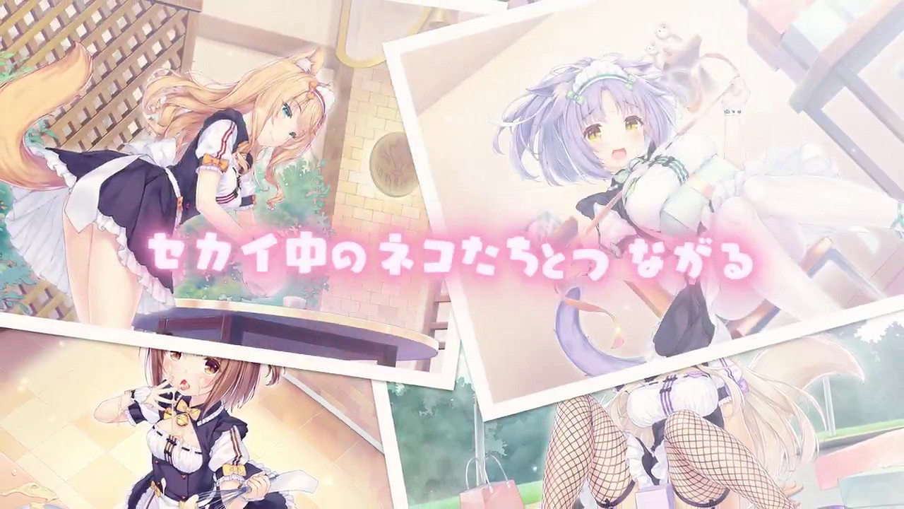 紳士福音！10周年紀念作《貓娘樂園：世界連接》公布