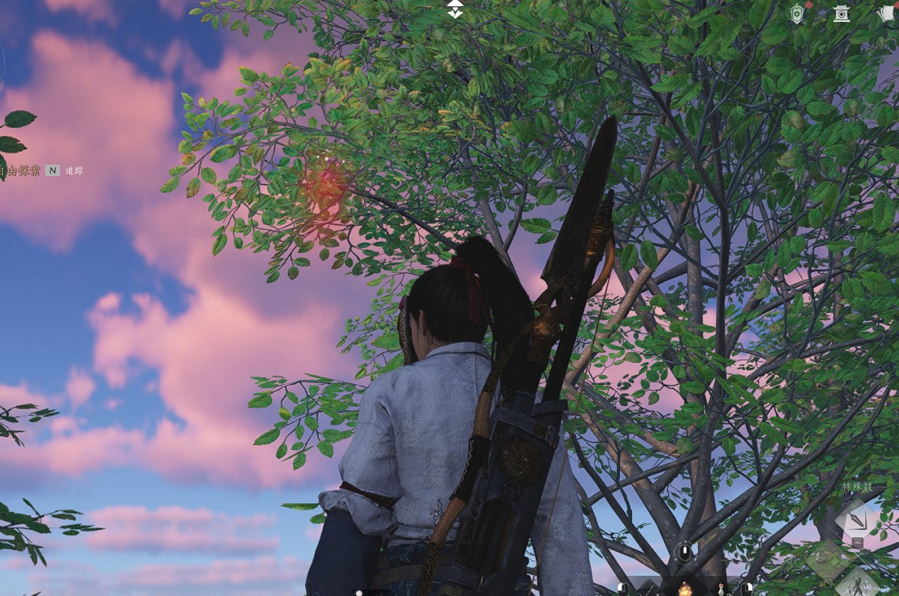 《燕雲十六聲》抬頭見花紅收集攻略