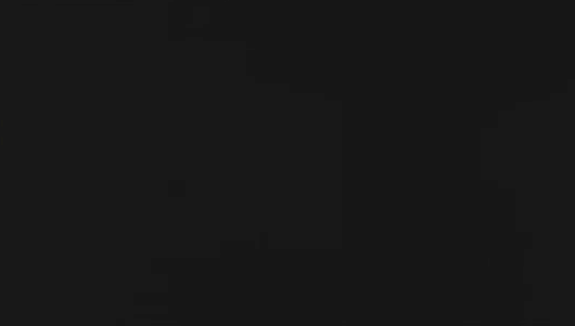 《燕雲十六聲》武學流派一覽