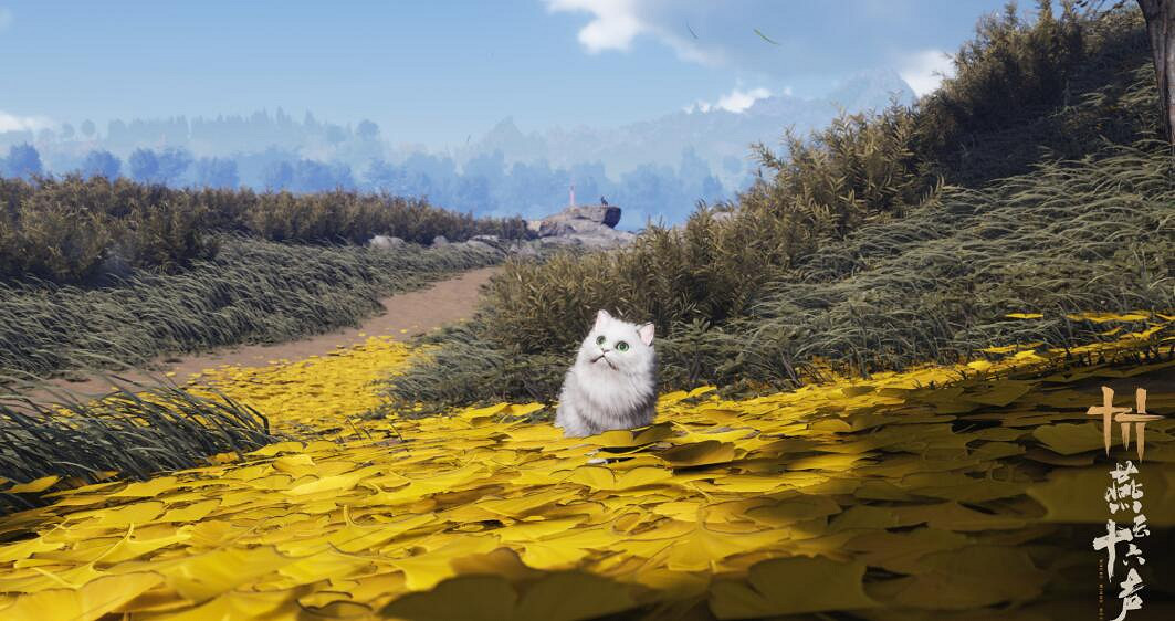 《燕雲十六聲》極速包區別介紹