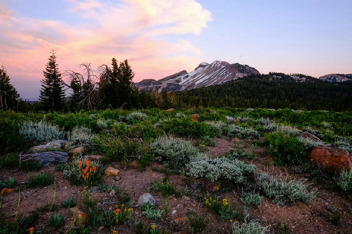 《英雄聯盟》四五十歲網名簡單大氣推薦 《英雄聯盟》四五十歲網名簡單大氣推薦